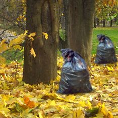 уборка листьев и мусора