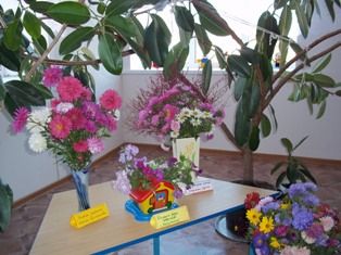 выставка цветов